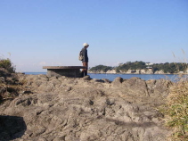 三浦半島ゆる～くウォーキング　　長浜、荒崎編②_c0008598_1029669.jpg