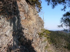 c0061311_1232139.jpg