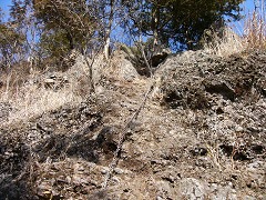 c0061311_12351069.jpg