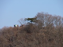 c0061311_1240128.jpg
