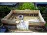 e0115811_2324117.gif