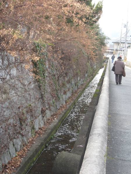 めくるめく紙芝居チラシなどのための写真ワークショップ_c0009815_21182062.jpg