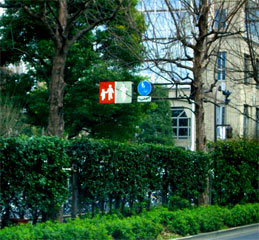 a0054924_19285454.jpg