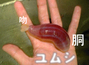 f0051125_20342593.gif