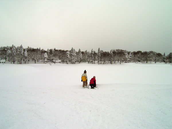 c0070528_1149.jpg