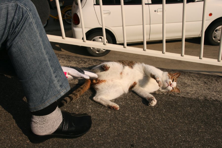 転がる_b0060239_2361341.jpg