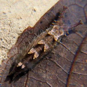 e0049740_185072.jpg