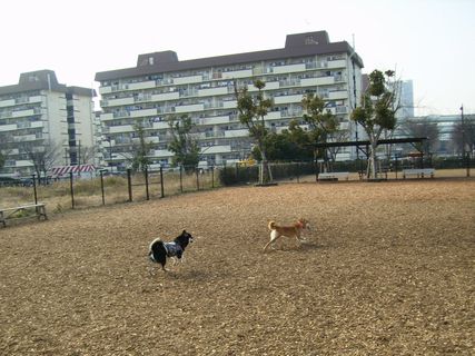 f0058241_11155888.jpg