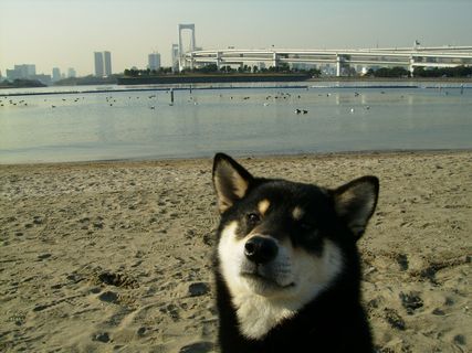 f0058241_11321390.jpg