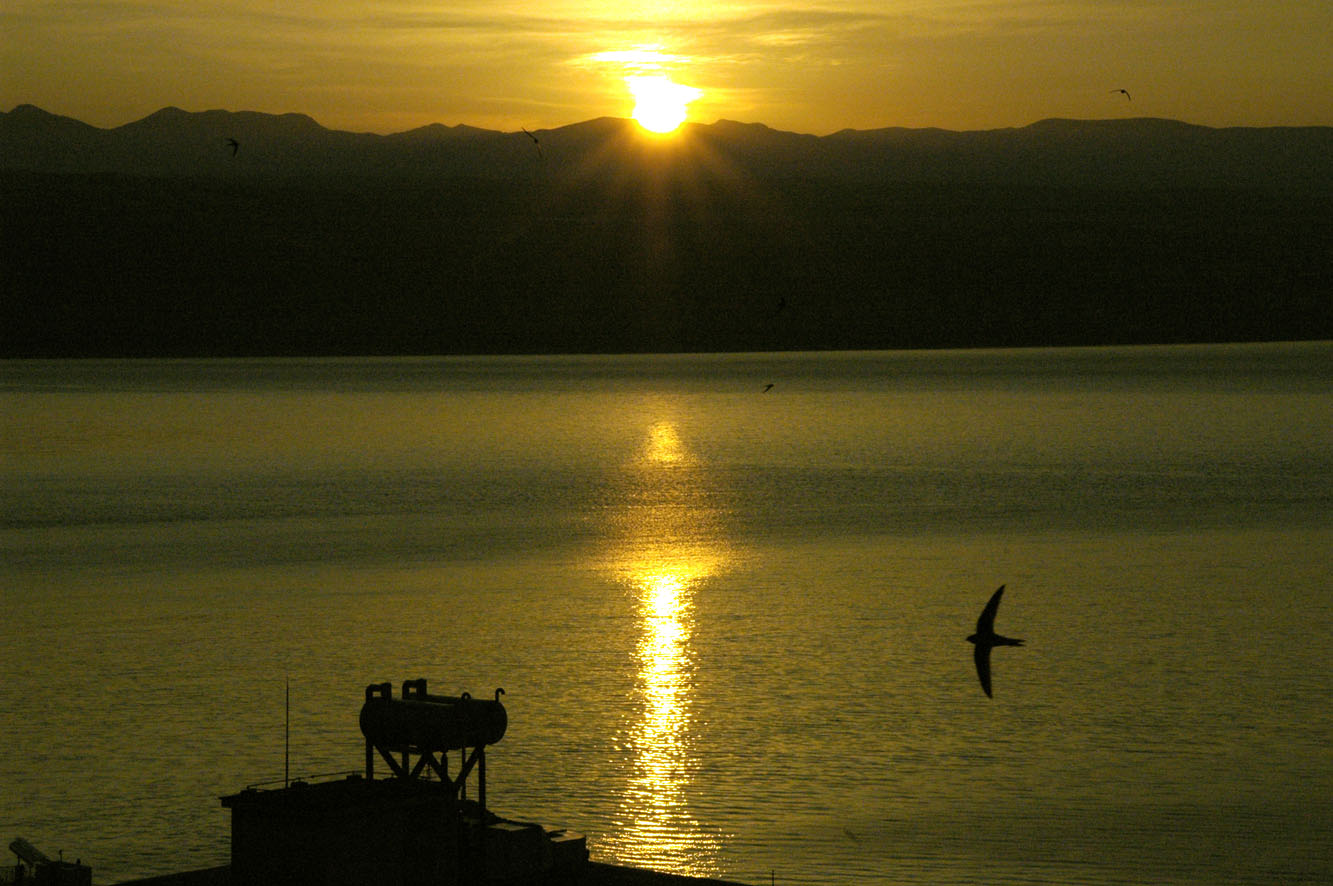 e0108650_9283297.jpg