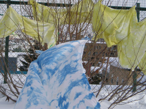 b0068572_104472.jpg