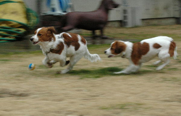 c0075585_0495762.jpg