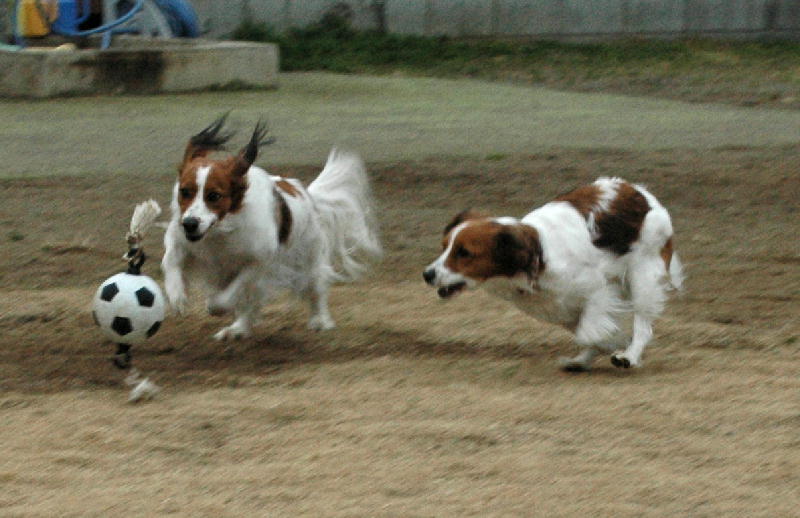 c0075585_1302153.jpg
