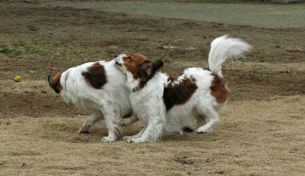 c0075585_130566.jpg