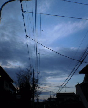 b0054498_17041.jpg