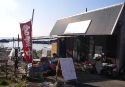 三浦半島ゆる～くウォーキング　　長浜、荒崎編③_c0008598_2151029.jpg