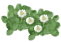 c0085098_1845555.gif
