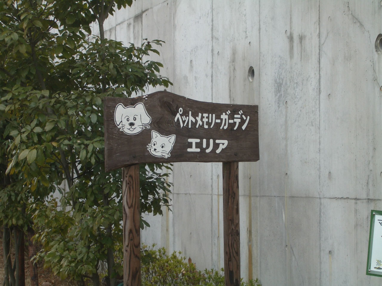 f0101201_20353511.jpg