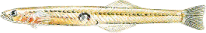 e0113508_02563.gif