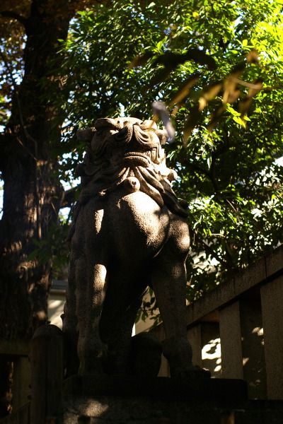 渋谷区東周辺の景色・氷川神社_b0053019_21475950.jpg