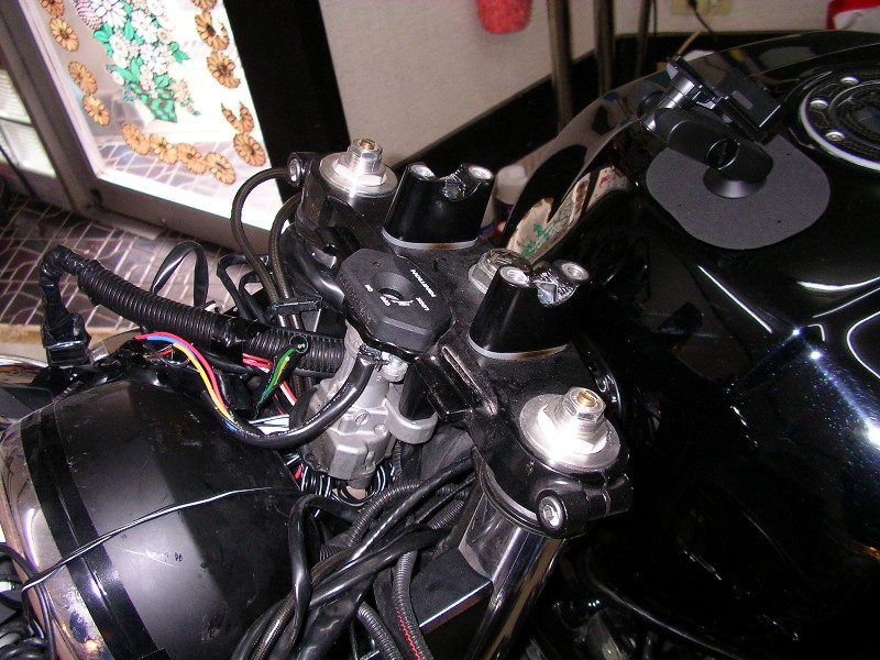 a0001020_826423.jpg