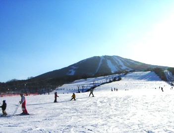 d0071269_19185861.jpg