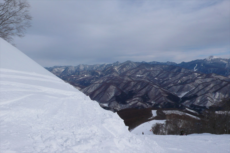b0046290_21405778.jpg