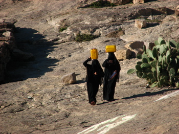 c0010791_121659.jpg