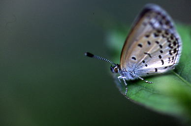 d0025894_234389.jpg