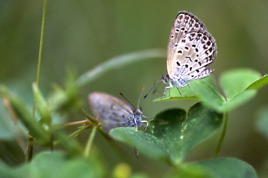 d0025894_2351797.jpg