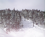 d0090800_1311230.jpg