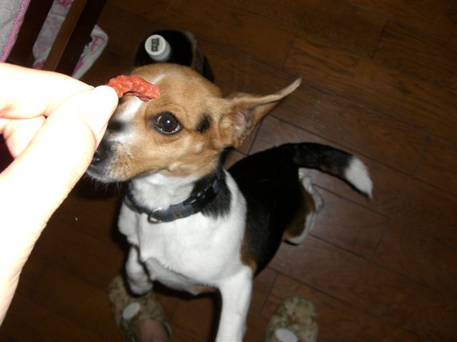 c0087001_22461912.jpg