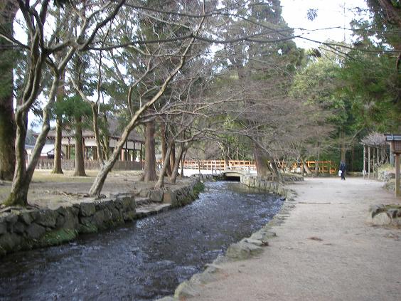 c0097309_94973.jpg