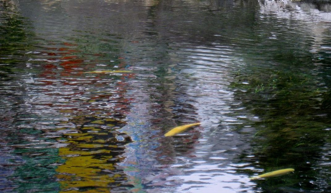e0003910_11353250.jpg