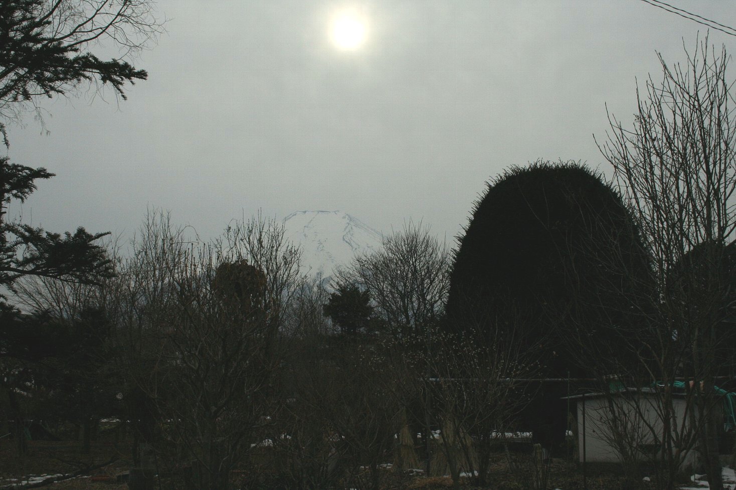 e0003910_7493469.jpg