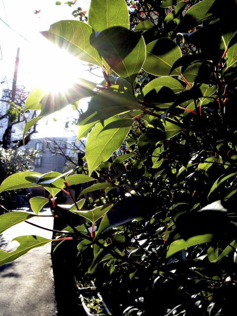 c0071611_1875215.jpg
