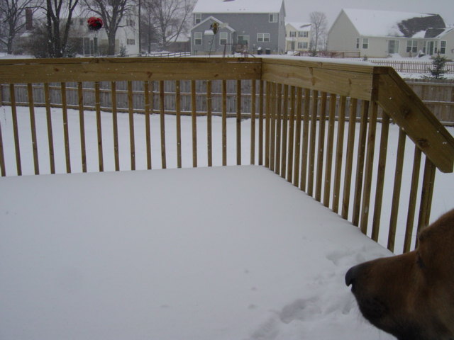 c0079011_3103919.jpg