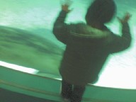 c0047221_1163123.jpg