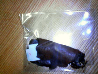 a0001324_2405675.jpg