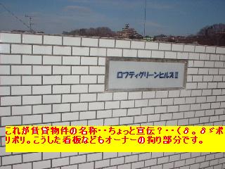 雨漏り補修と賃貸物件内装工事_f0031037_18244727.jpg
