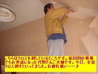 雨漏り補修と賃貸物件内装工事_f0031037_18312476.jpg