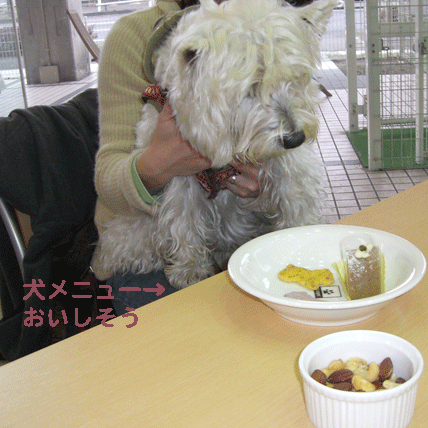 f0077150_23364693.gif