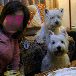 f0077150_23515769.gif