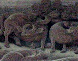 ねずみ関連、雪舟の宝福寺と十二支の彫り物の備中国分寺五重の塔_d0031853_191217.jpg