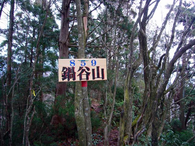 ２００６／１２／２４　アシウスギ巨樹群の井ノ口山・鍋谷山_e0110969_254949.jpg