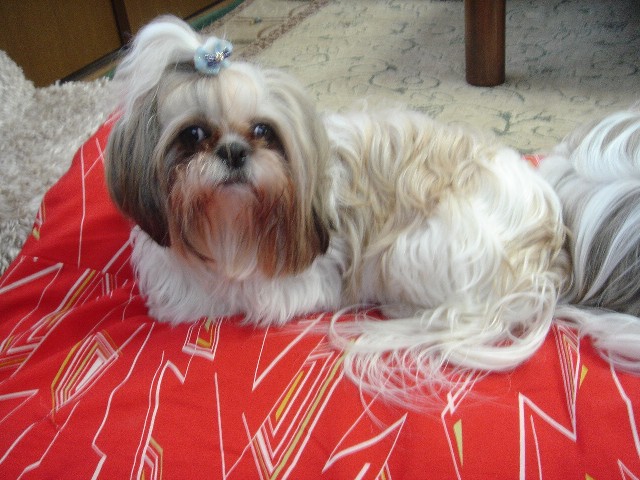 c0090198_22554836.jpg
