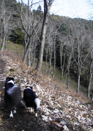 f0034602_20153094.jpg