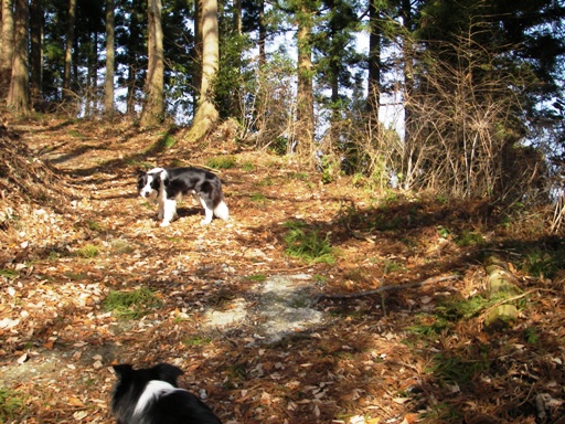 f0034602_20162121.jpg