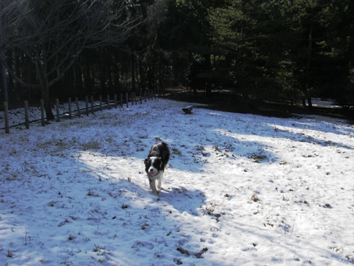 f0034602_20173055.jpg