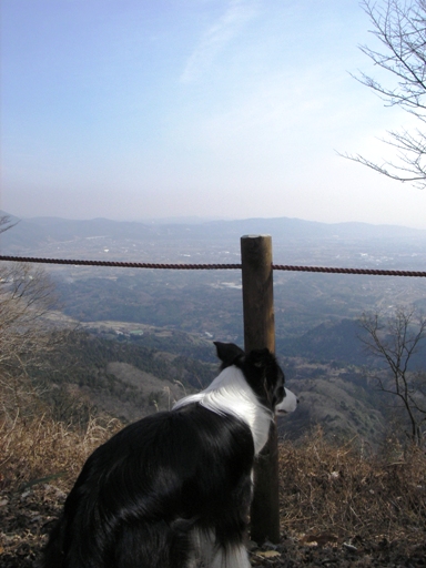 f0034602_202154.jpg